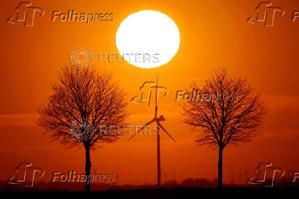 FILE PHOTO: Power-generating windmill turbines are seen during sunset in Bourlon