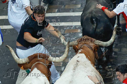 Los toros de La Palmosilla protagonizan este domingo el séptimo encierro de San Fermín