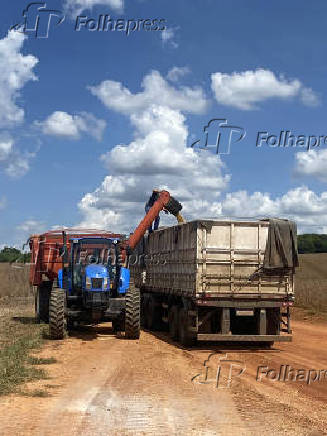 Colheita de soja com maquinário em Ibiúna, interior de SP