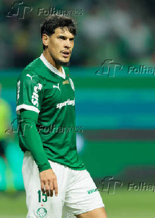 Campeonato Brasileiro Série A - Palmeiras e Grêmio