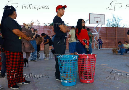 Mass sterilization campaign targets stray animal overpopulation in Ciudad Juarez