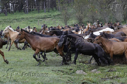 Rapa das Bestas de la sierra de A Capelada