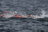 World Aquatics Championships Singapore 2025 - Day 9