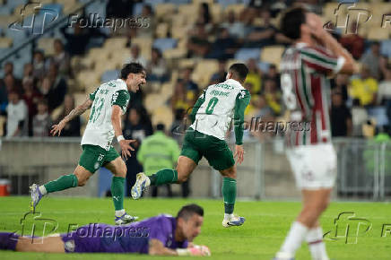 BRASILEIRO A 2025, FLUMINENSE X PALMEIRAS