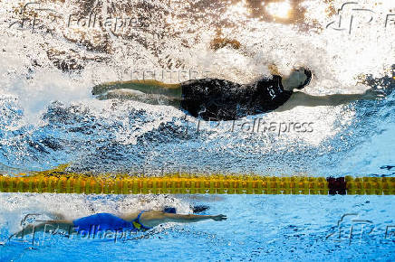 World Aquatics Championships