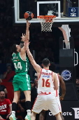 Basketball Greek League final - Olympiacos vs Panathinaikos