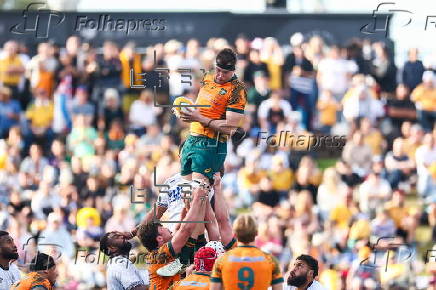 International Rugby Union - Australia vs Fiji