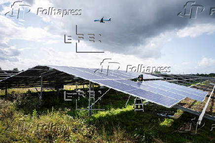 Solar panels near Schiphol Airport removed as reflections disturb pilots