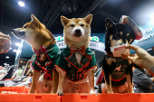 Pet Expo Thailand in Bangkok