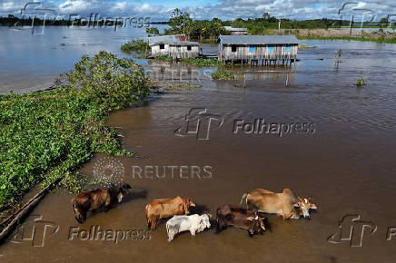 Aftermath of floodings, in Manacapuru