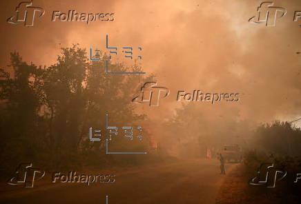 Wildfire in Greece's Peloponnese region