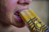 Picolé de frutas naturais da Mata Atlântica, pela Agro Asmussen