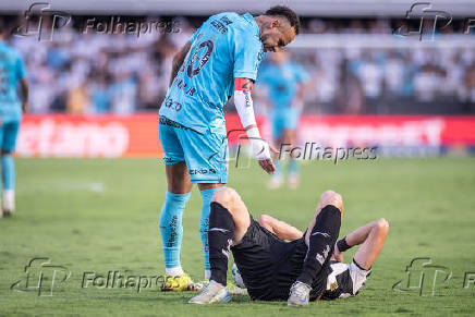 SANTOS-BOTAFOGO: CAMPEONATO BRASILEIRO SERIE A 2025