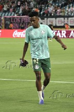 Inter miami fc vs palmeiras :fifa club world cup.