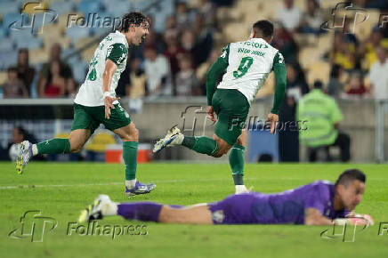 BRASILEIRO A 2025, FLUMINENSE X PALMEIRAS