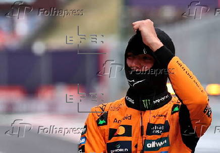 Formula One Hungarian Grand Prix - Practice and Qualifying