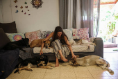 Hadar Gutman - care taker of dogs during war time in Israel