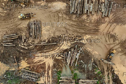 Illegal loggers are key players in carbon credit schemes in Brazil