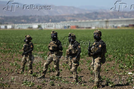 U.S. federal agents and immigration officers raid an agricultural facility in Camarillo