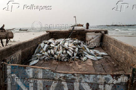 A man prepares to pull his horse-drawn cart that transports fresh fish at the fishing quay in Yoff beach
