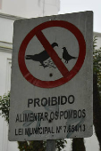 Placa _ Proibido alimentar pombos
