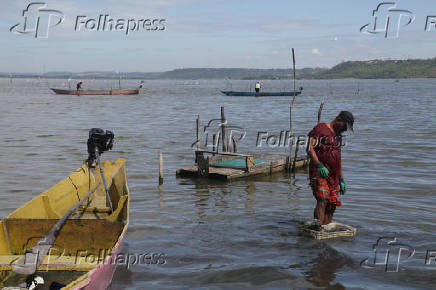 Contaminação por mercúrio na Lagoa Mundaú