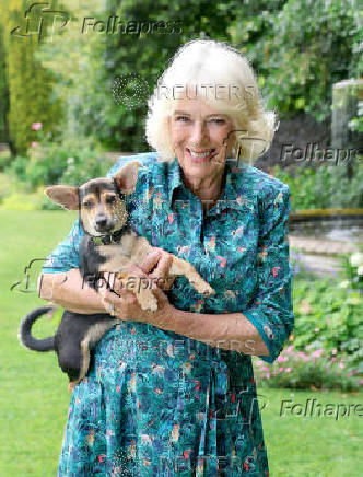 Queen Camilla Poses For Portrait With Dog Moley