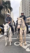 Polícia cavalaria no centro de são paulo
