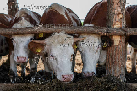 Serbian farmers vow to oppose Rio Tinto lithium project even after EU strategic label