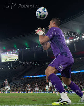 BRASILEIRO A 2025, FLUMINENSE X PALMEIRAS