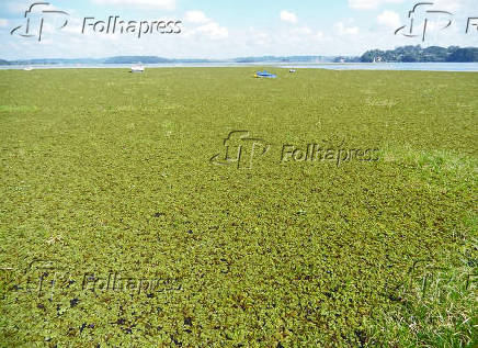 Represa de Guarapiranga