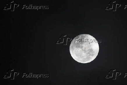 Lua Rosa em Fortaleza