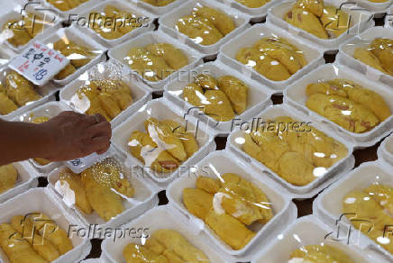 A stall owner arrangers vacuum packed durians for sale in Chinatown, Singapore