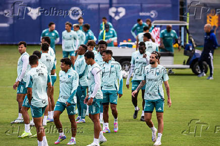 CRUZEIRO, TREINO