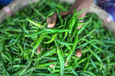 Vegetable prices soar again in Dhaka due to crop damage from rain