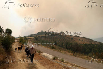 Wildfires in Albania