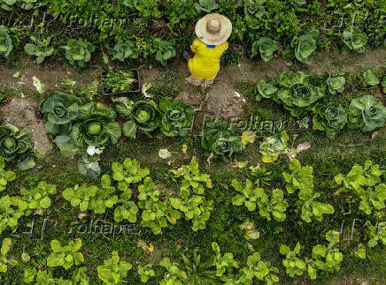 Especial Sustentabilidade - Folhapress