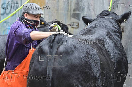 El potente sector rural de Argentina abre su tradicional feria entre reclamos a Milei