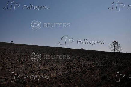 Wildfire in Abejera de Tabara