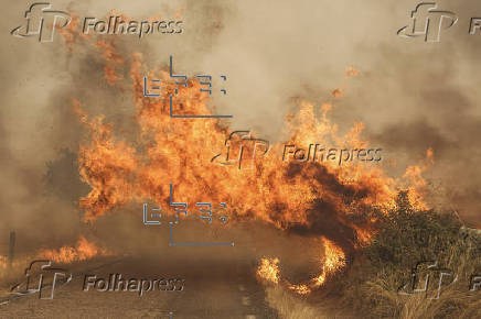 Incendio en Cipérez (Salamanca)