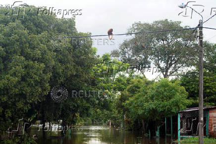 Heavy rains in Puerto Carreno