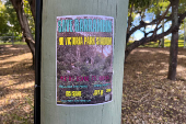 A poster is displayed on a pole in the Victoria Park-Barrambin, in Brisbane