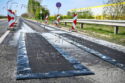 Disinfectant installed to prevent spread of foot-and-mouth disease in Hungary