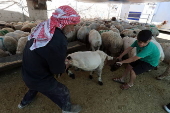 Preparations for Eid al-Adha in Lebanon