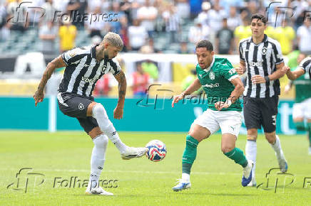 Partida entre Palmeiras e Botafogo no Mundial de Clubes da fifa