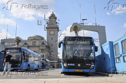 Moscow's public transport increases its electric bus fleet
