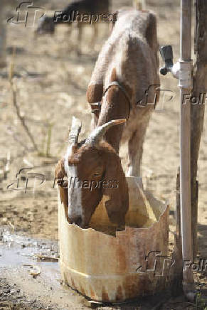 Agropecuaria