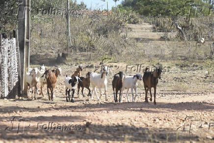 Agropecuaria
