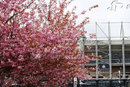 Premier League - Newcastle United v Crystal Palace