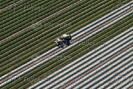 FILE PHOTO: A drone views shows a farmer riding his tractor in his field in Saint-Julien-de-Concelles